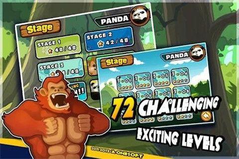 疯狂的熊猫爆料视频,视频爆料背后的惊人真相  第2张