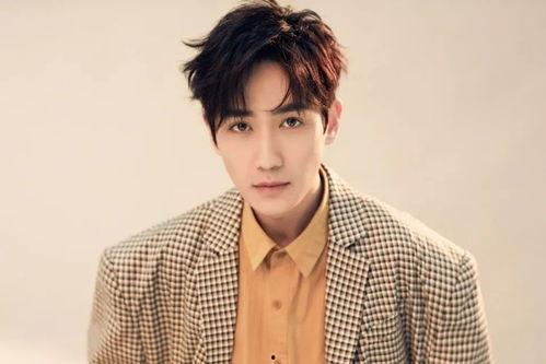 王石保姆爆料视频大全,一场豪门恩怨的真相大曝光